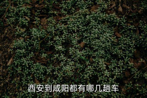 西安到咸陽都有哪幾趟車