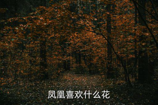 鳳凰喜歡什么花