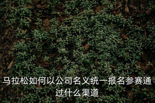 馬拉松如何以公司名義統一報名參賽通過什么渠道
