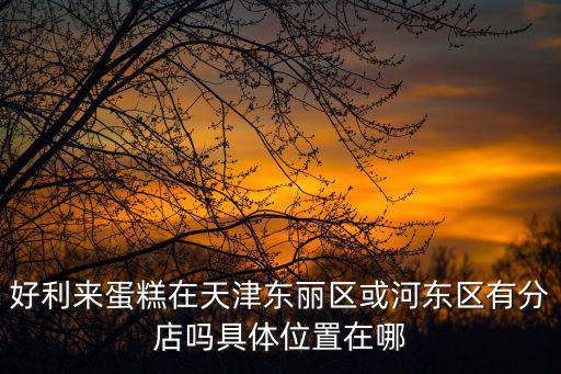 好利來蛋糕在天津東麗區或河東區有分店嗎具體位置在哪