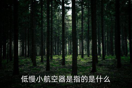低慢小，低慢小航空器是指的是什么