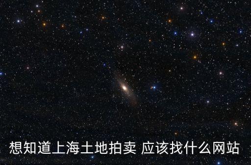 想知道上海土地拍賣 應該找什么網站