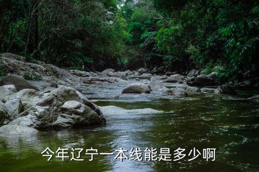 今年遼寧一本線能是多少啊