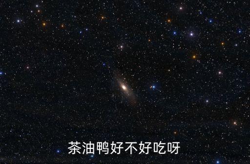 茶油鴨，茶油鴨好不好吃呀