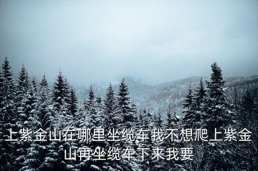 紫金山在哪里，紫金山在哪個省市