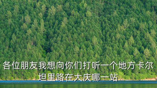 各位朋友我想向你們打聽一個地方卡爾坦里路在大慶哪一站