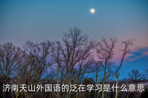 濟(jì)南天山外國(guó)語的泛在學(xué)習(xí)是什么意思