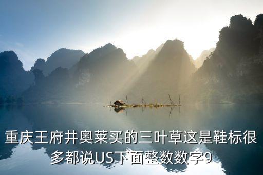 重慶王府井奧萊買的三葉草這是鞋標(biāo)很多都說US下面整數(shù)數(shù)字9