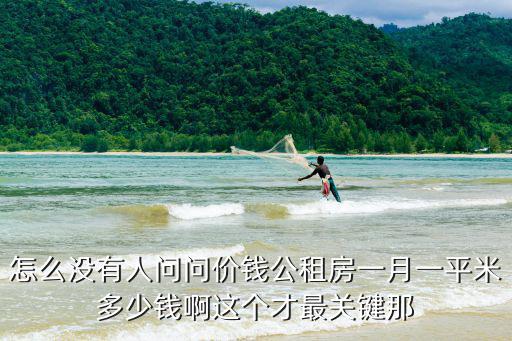 怎么沒(méi)有人問(wèn)問(wèn)價(jià)錢公租房一月一平米多少錢啊這個(gè)才最關(guān)鍵那