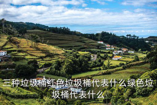 三種垃圾桶紅色垃圾桶代表什么綠色垃圾桶代表什么