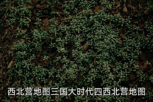西北營地圖三國大時代四西北營地圖
