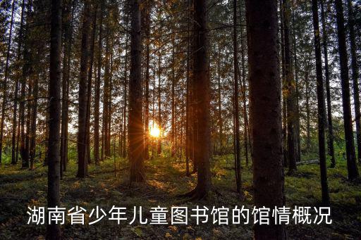 少年兒童圖書館，大連市少年兒童圖書館介紹
