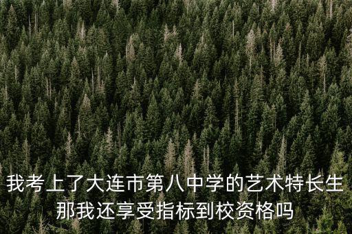 我考上了大連市第八中學(xué)的藝術(shù)特長(zhǎng)生那我還享受指標(biāo)到校資格嗎