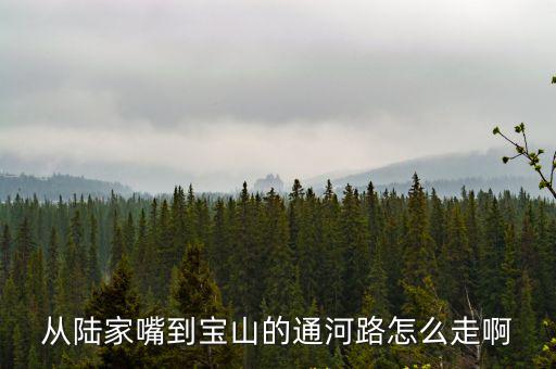 從陸家嘴到寶山的通河路怎么走啊