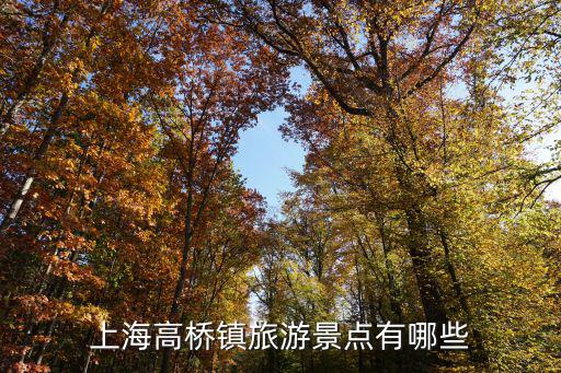 上海高橋鎮，上海外高橋有幾個鄉鎮