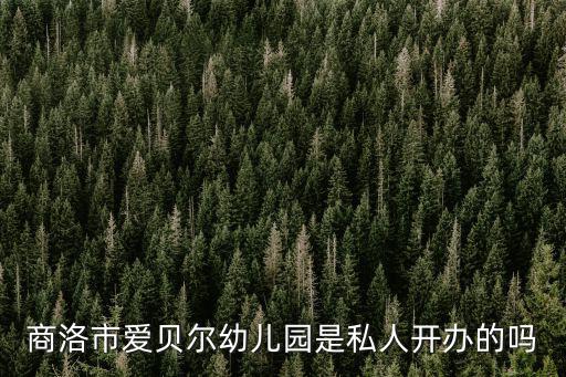 商洛市愛貝爾幼兒園是私人開辦的嗎