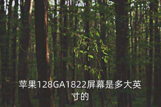 g1822，蘋果128GA1822屏幕是多大英寸的