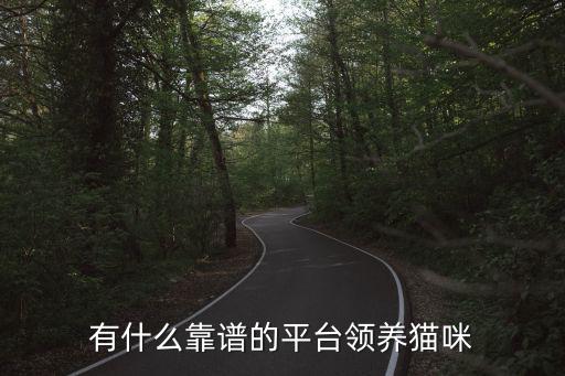 貓咪領養平臺，有什么靠譜的平臺領養貓咪