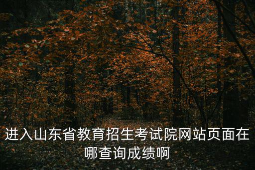 進入山東省教育招生考試院網站頁面在哪查詢成績啊