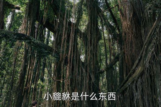小貔貅是什么東西