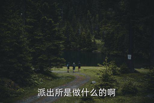 派出所是做什么的啊