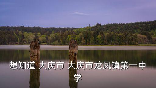 龍鳳鎮(zhèn)，夢(mèng)想世界龍鳳鎮(zhèn)是干什么的