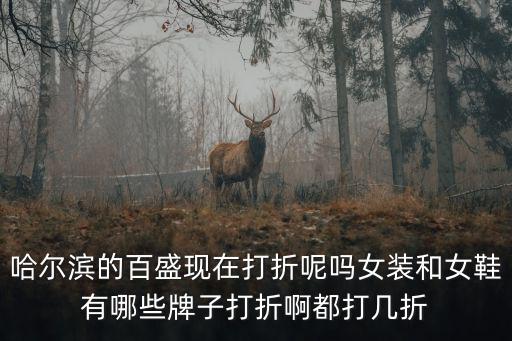 女鞋打折，哈爾濱的百盛現在打折呢嗎女裝和女鞋有哪些牌子打折啊都打幾折