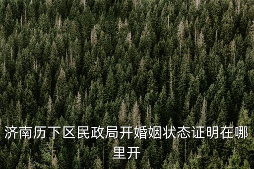 濟(jì)南歷下區(qū)民政局開婚姻狀態(tài)證明在哪里開