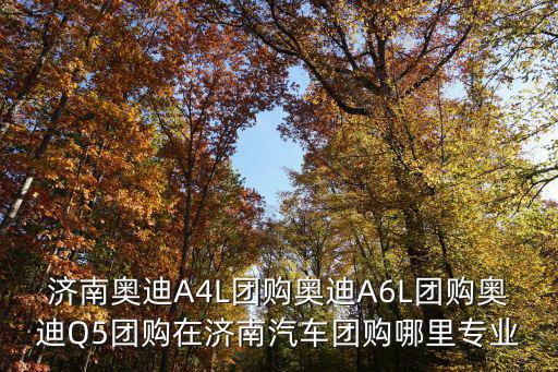 濟(jì)南奧迪A4L團(tuán)購(gòu)?qiáng)W迪A6L團(tuán)購(gòu)?qiáng)W迪Q5團(tuán)購(gòu)在濟(jì)南汽車團(tuán)購(gòu)哪里專業(yè)
