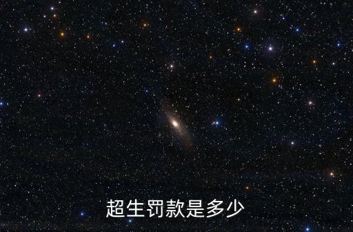 超生罰款是多少
