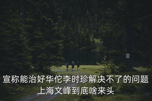 宣稱能治好華佗李時珍解決不了的問題上海文峰到底啥來頭