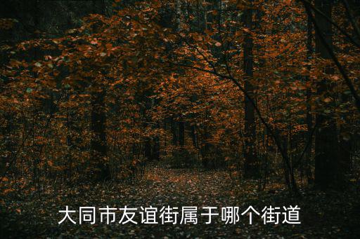 友誼街道，哈爾濱友誼路41號屬于哪個街道