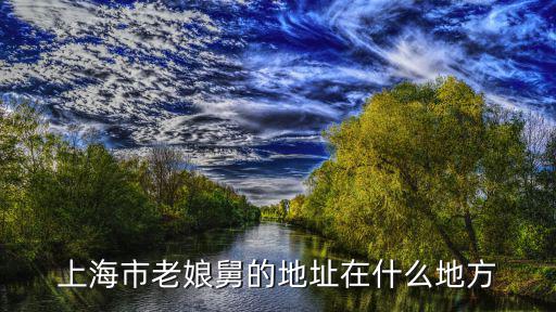 上海老娘舅，我想知道上海優(yōu)秀的老娘舅有哪幾位