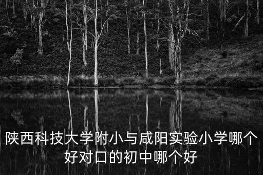 咸陽實驗小學，咸陽老實驗小學在哪坐那幾路車