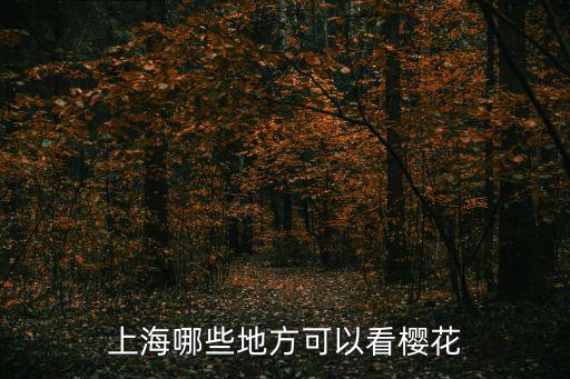 上海哪些地方可以看櫻花