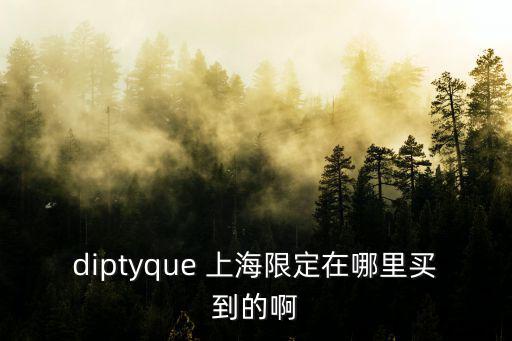 diptyque 上海限定在哪里買到的啊