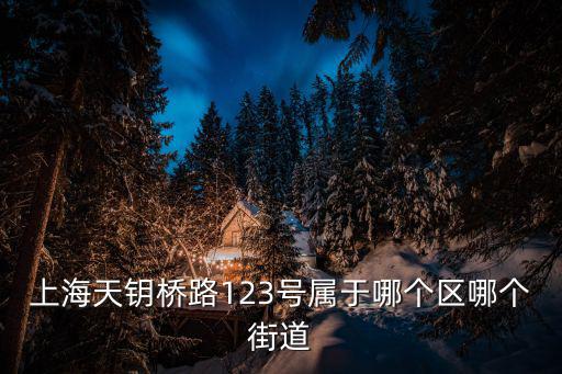 上海天鑰橋路123號屬于哪個區(qū)哪個街道