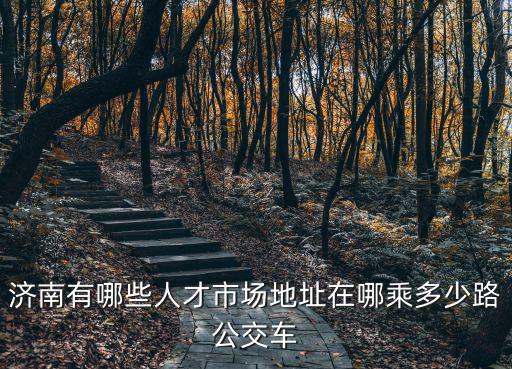 濟南有哪些人才市場地址在哪乘多少路公交車