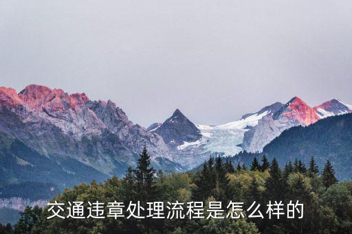 交通違章處理，車輛違章怎么處理