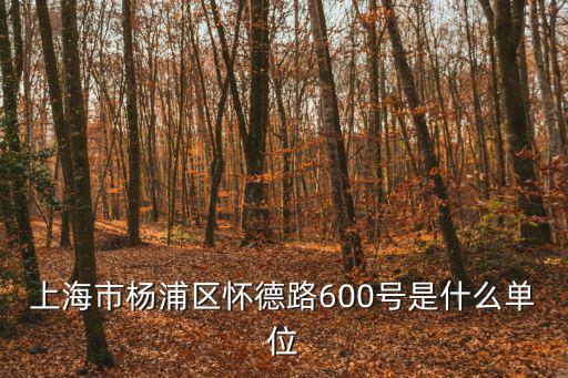 上海市楊浦區懷德路600號是什么單位