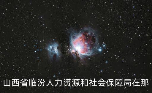 山西省臨汾人力資源和社會保障局在那