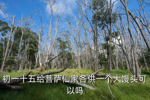 初一十五給菩薩仙家各供一個大饅頭可以嗎