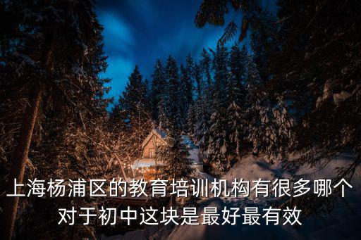 上海楊浦區的教育培訓機構有很多哪個對于初中這塊是最好最有效