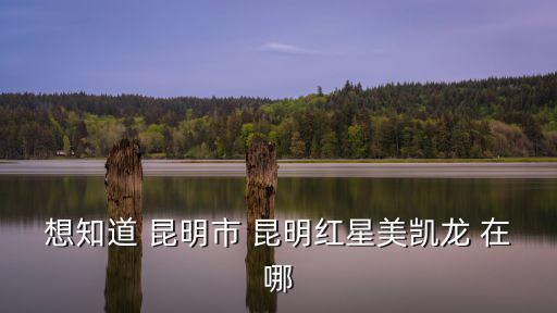 想知道 昆明市 昆明紅星美凱龍 在哪