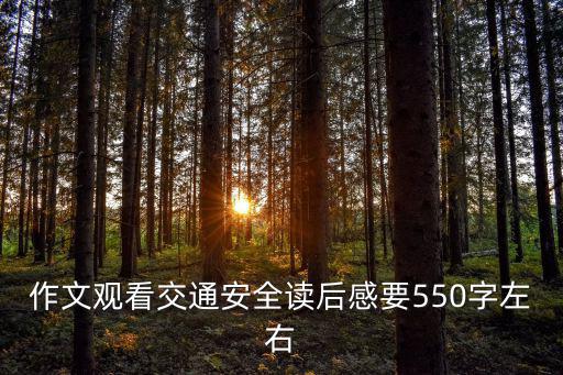 作文觀看交通安全讀后感要550字左右