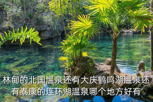林甸的北國溫泉還有大慶鶴鳴湖溫泉還有泰康的連環(huán)湖溫泉哪個(gè)地方好有