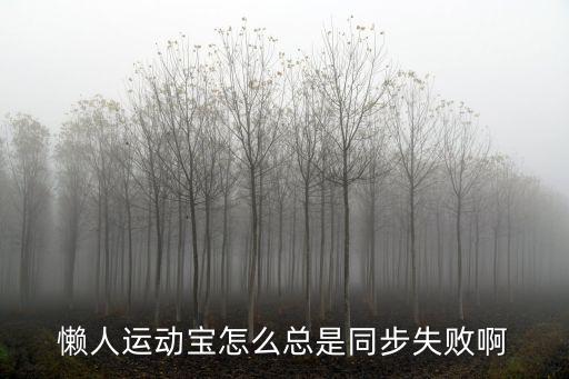 懶人運動寶怎么總是同步失敗啊