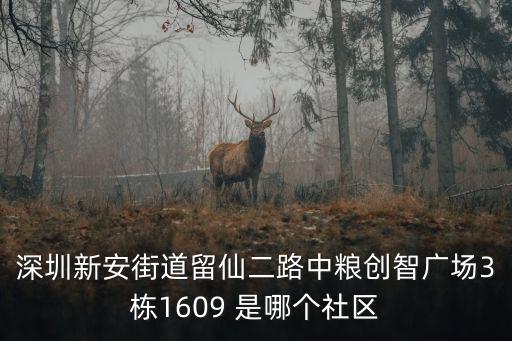 深圳新安街道留仙二路中糧創(chuàng)智廣場(chǎng)3棟1609 是哪個(gè)社區(qū)