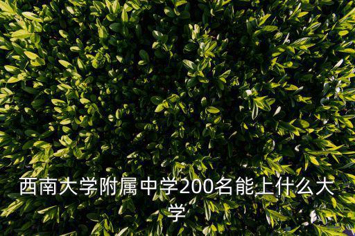 西南大學(xué)附屬中學(xué)200名能上什么大學(xué)