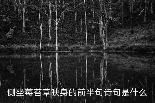 側坐莓苔草映身的前半句詩句是什么